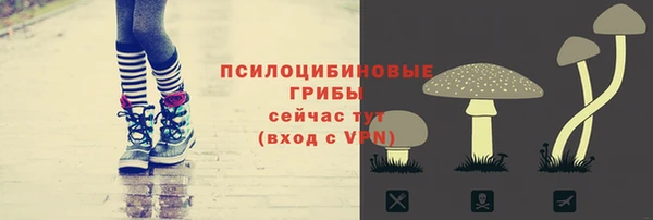 герыч Анива