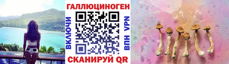 дарнет шоп  Артёмовск  Псилоцибиновые грибы GOLDEN TEACHER 