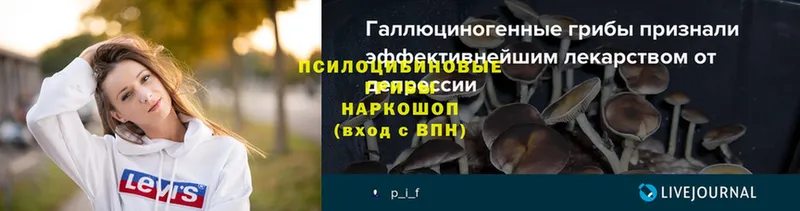 Псилоцибиновые грибы ЛСД  купить наркотик  blacksprut   Артёмовск 